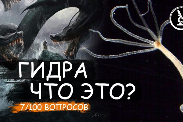 Kraken это что такое